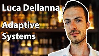 Adaptive Systems